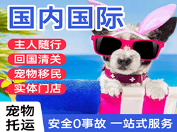 通化空运公司国际宠物托运 【国